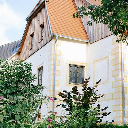 Appartements Adam-Muehle Spitz an der Donau Exteriér fotografie